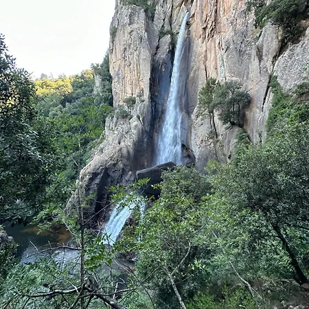 Casa Mya Apartamento *
